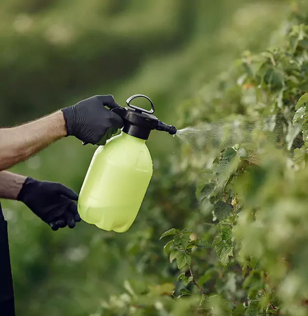 Why White Lake Homeowners Choose White Lake Pest Control Pro for Yard Tick Treatment?