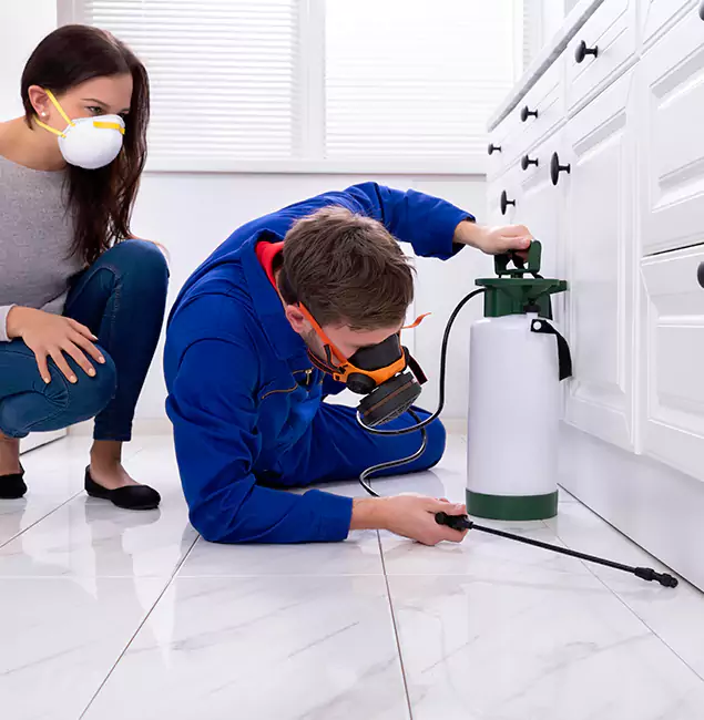 Why Choose Wood Termite Treatment by White Lake Pest Control Pro in White Lake, MI?