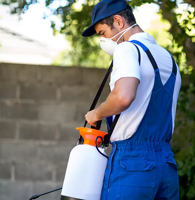 Why White Lake Pest Control Pro Is the Right Choice for Yellow Jacket Removal in White Lake, MI?