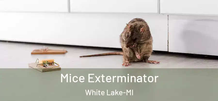  Mice Exterminator White Lake-MI
