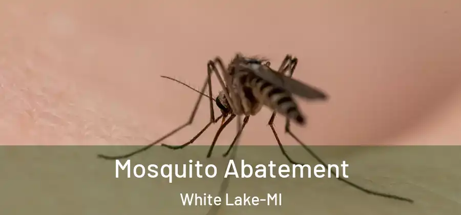 Mosquito Abatement White Lake-MI