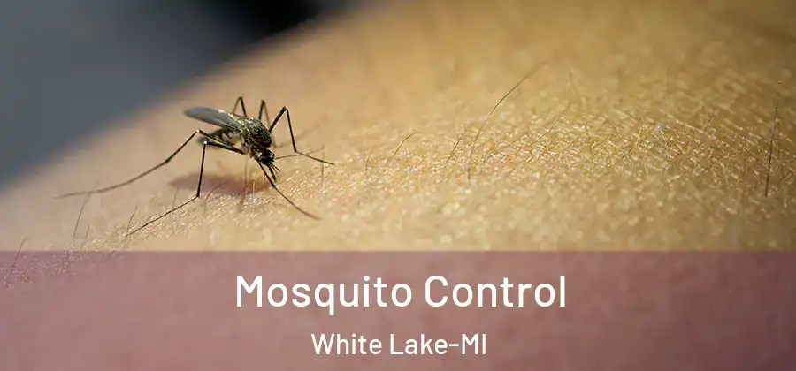 Mosquito Control White Lake-MI
