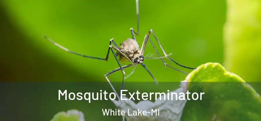 Mosquito Exterminator White Lake-MI