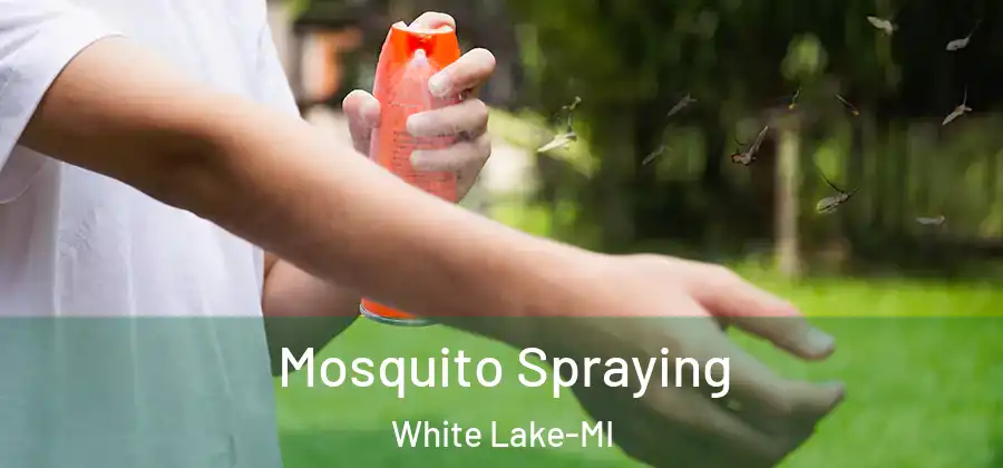Mosquito Spraying White Lake-MI