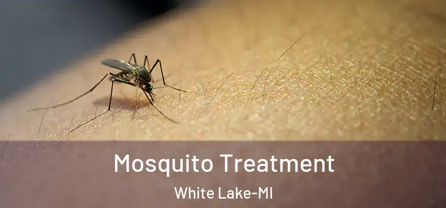  Mosquito Treatment White Lake-MI