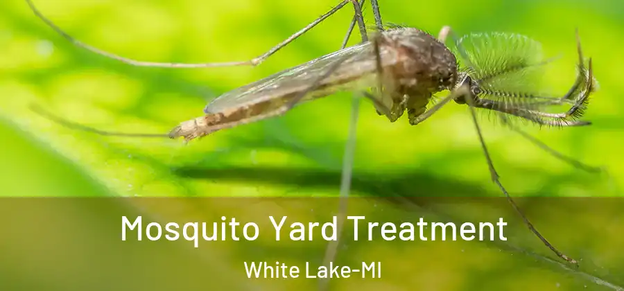  Mosquito Yard Treatment White Lake-MI