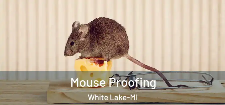 Mouse Proofing White Lake-MI