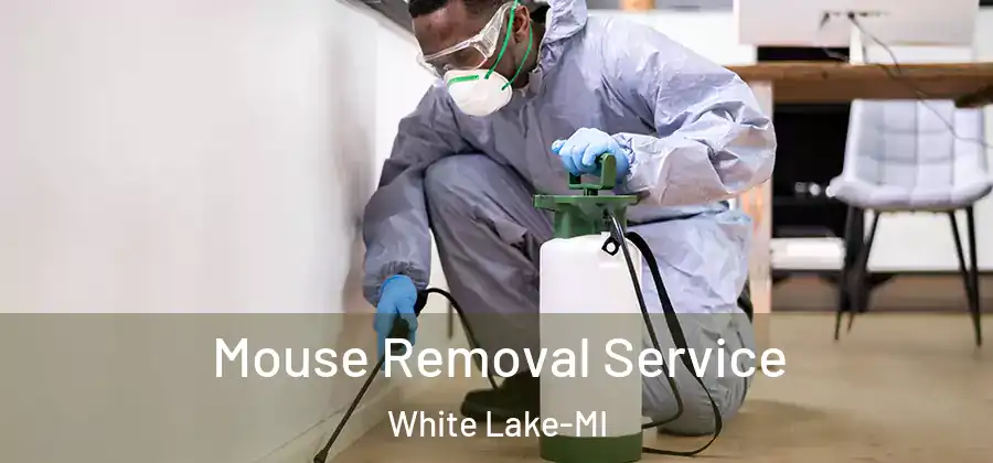 Mouse Removal Service White Lake-MI