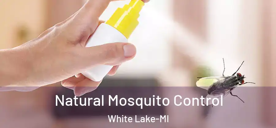 Natural Mosquito Control White Lake-MI