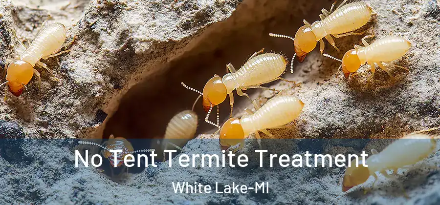 No Tent Termite Treatment White Lake-MI