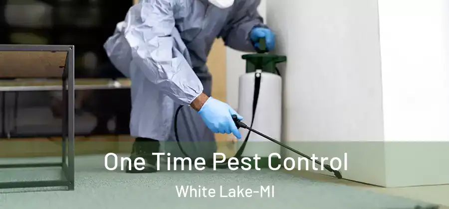 One Time Pest Control White Lake-MI