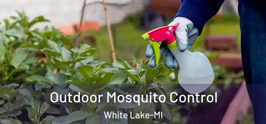 Outdoor Mosquito Control White Lake-MI