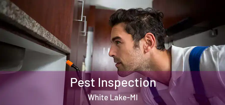 Pest Inspection White Lake-MI