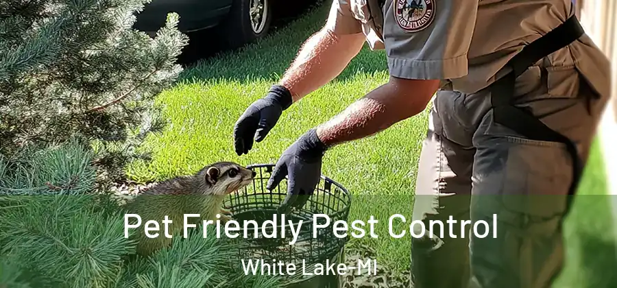 Pet Friendly Pest Control White Lake-MI