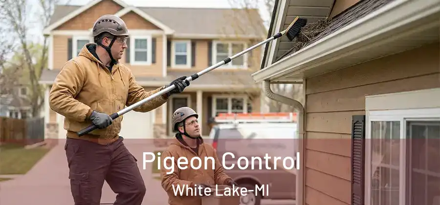  Pigeon Control White Lake-MI