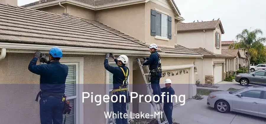 Pigeon Proofing White Lake-MI