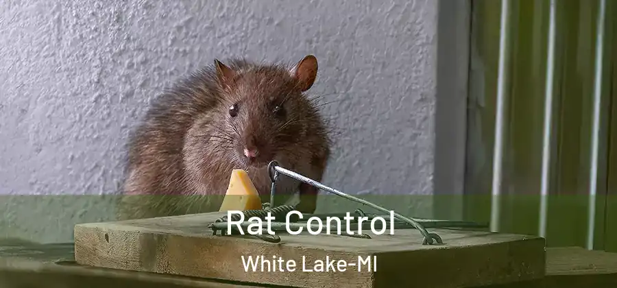 Rat Control White Lake-MI