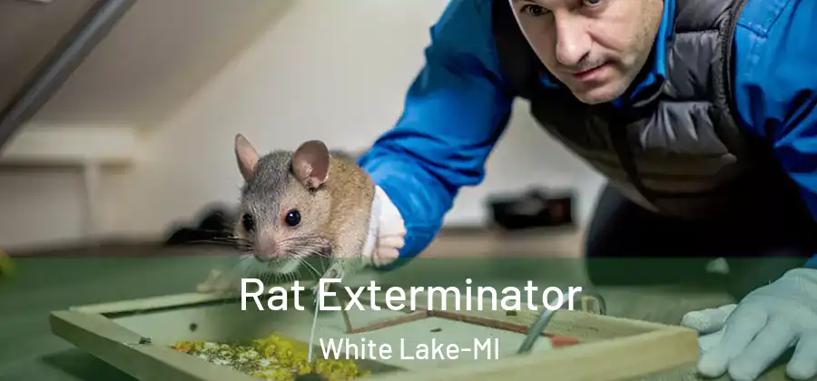 Rat Exterminator White Lake-MI