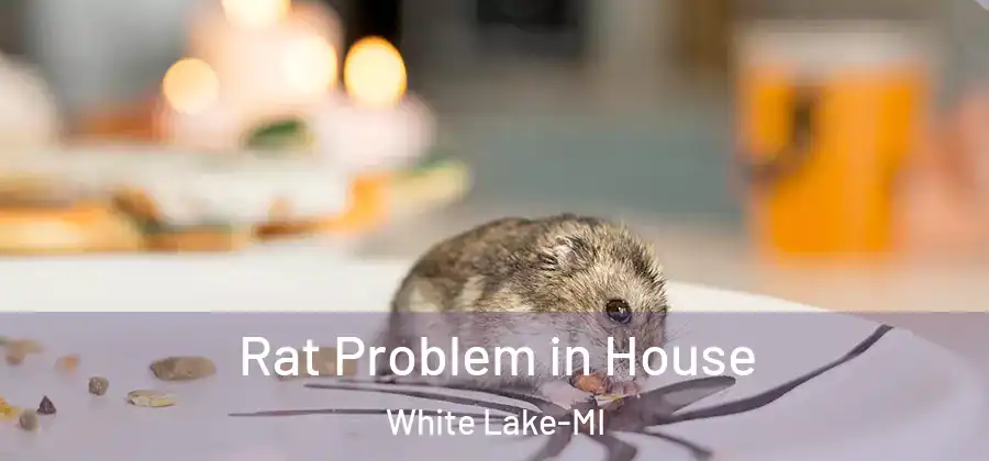 Rat Problem in House White Lake-MI