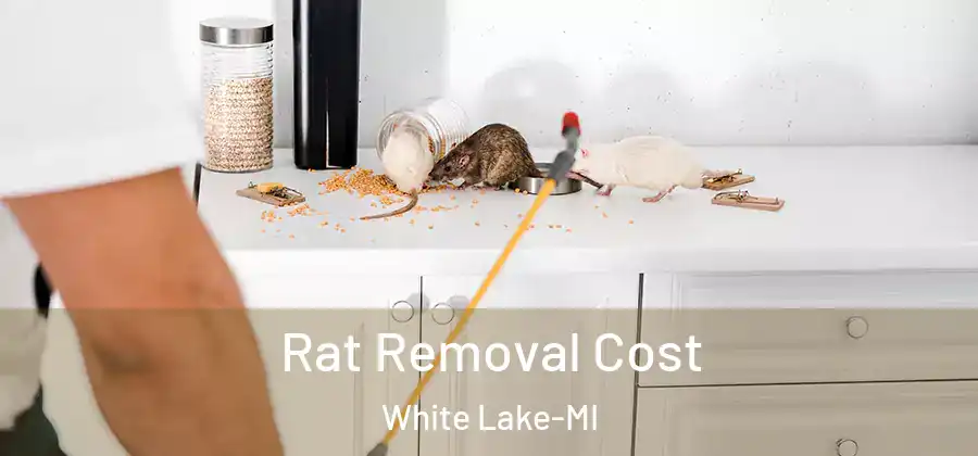 Rat Removal Cost White Lake-MI
