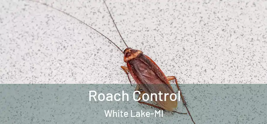 Roach Control White Lake-MI