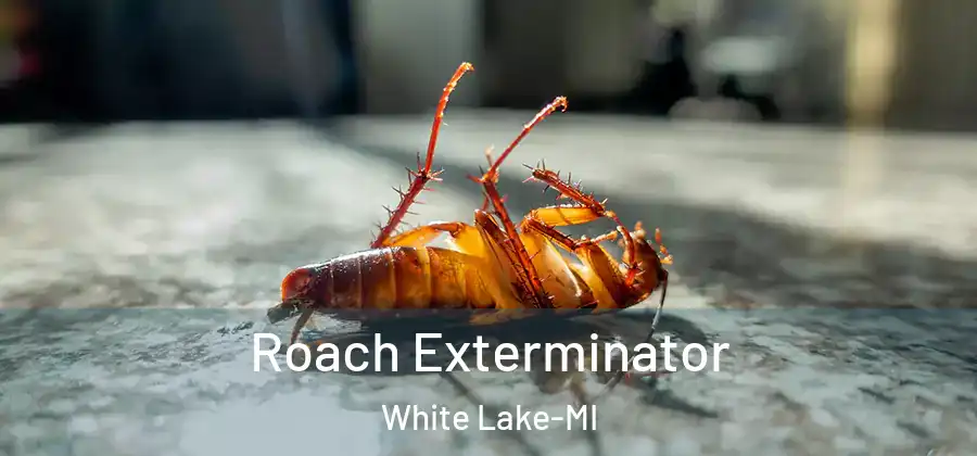 Roach Exterminator White Lake-MI