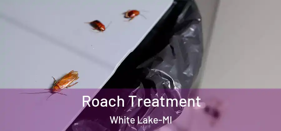 Roach Treatment White Lake-MI