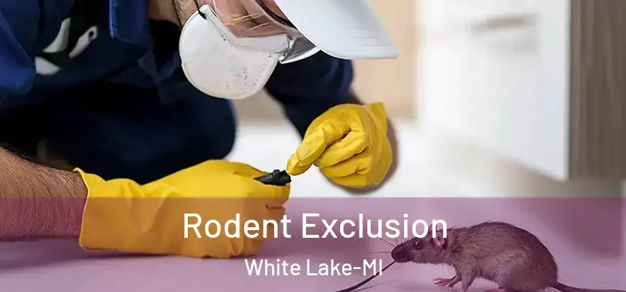 Rodent Exclusion White Lake-MI