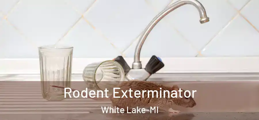 Rodent Exterminator White Lake-MI