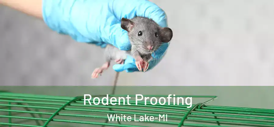 Rodent Proofing White Lake-MI