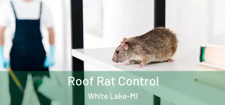 Roof Rat Control White Lake-MI