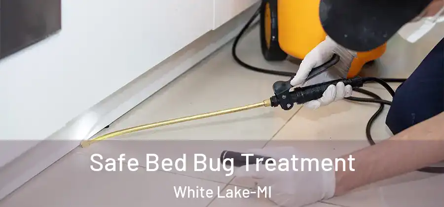 Safe Bed Bug Treatment White Lake-MI