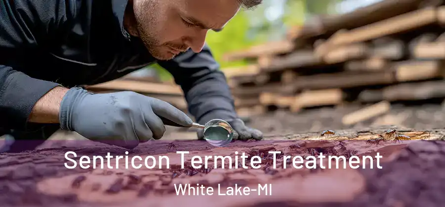  Sentricon Termite Treatment White Lake-MI