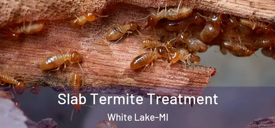 Slab Termite Treatment White Lake-MI