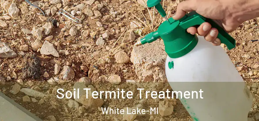 Soil Termite Treatment White Lake-MI