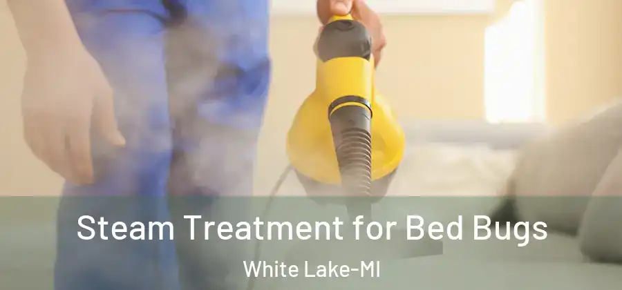  Steam Treatment for Bed Bugs White Lake-MI