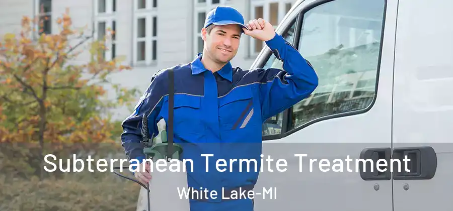 Subterranean Termite Treatment White Lake-MI