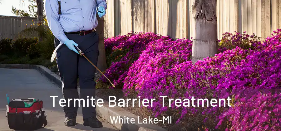 Termite Barrier Treatment White Lake-MI