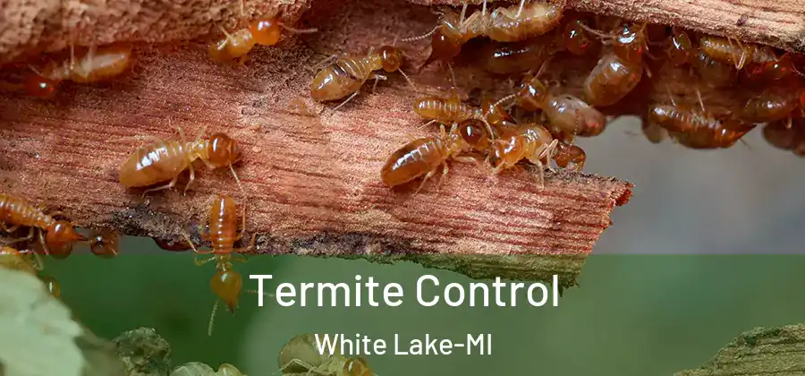 Termite Control White Lake-MI