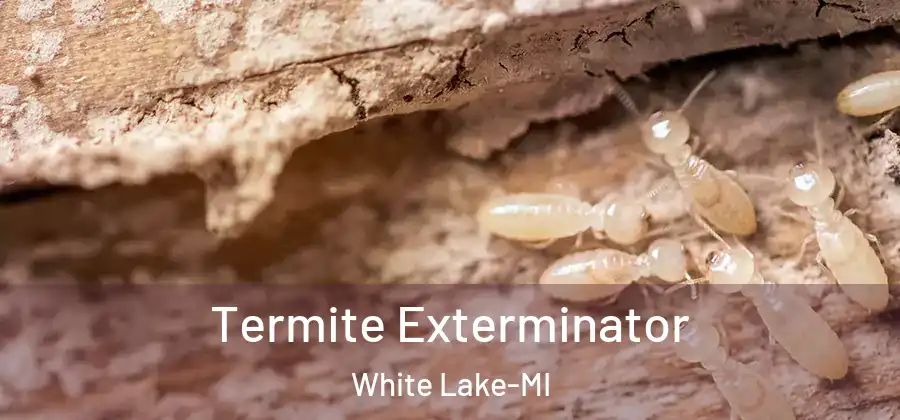 Termite Exterminator White Lake-MI