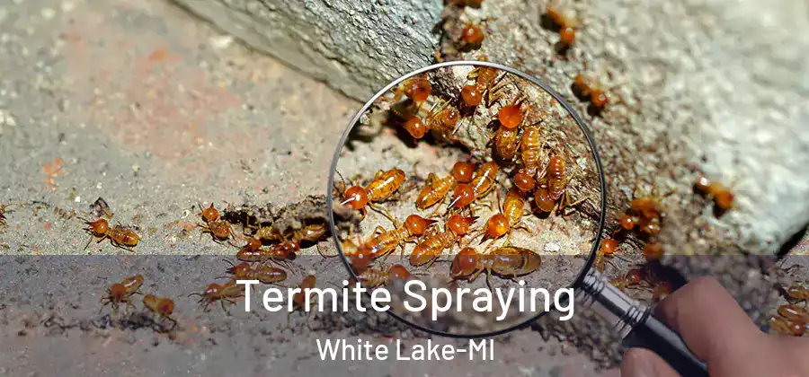 Termite Spraying White Lake-MI