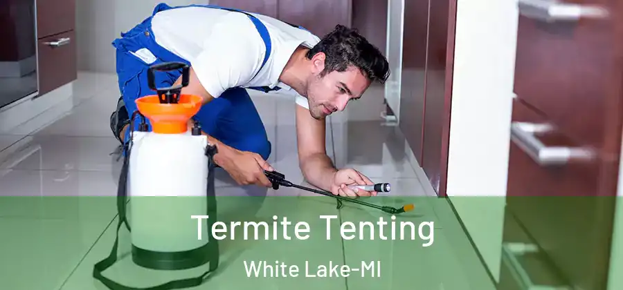 Termite Tenting White Lake-MI