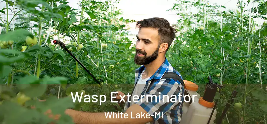  Wasp Exterminator White Lake-MI