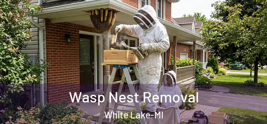Wasp Nest Removal White Lake-MI