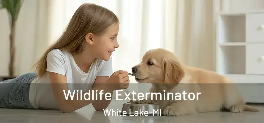 Wildlife Exterminator White Lake-MI