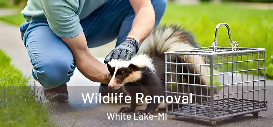 Wildlife Removal White Lake-MI