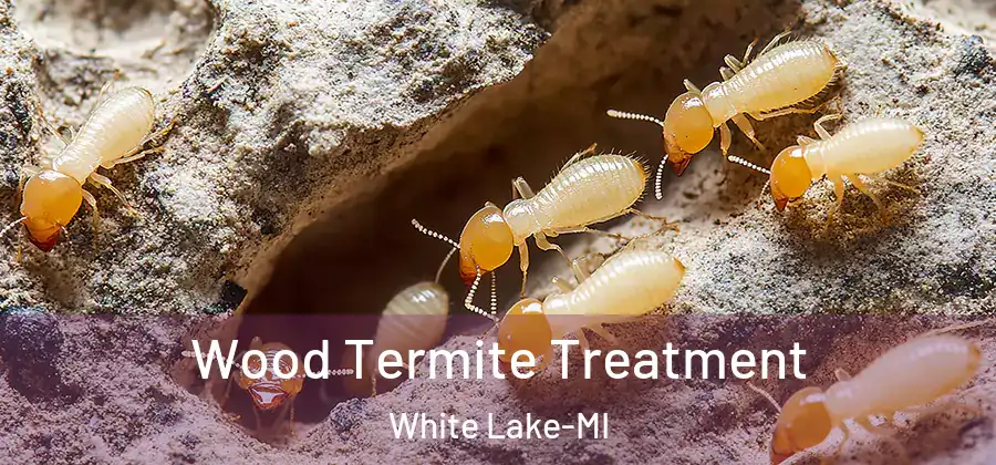 Wood Termite Treatment White Lake-MI